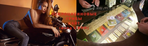 a pvp Алапаевск