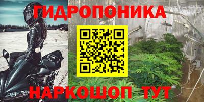 молекула духа Гусиноозёрск
