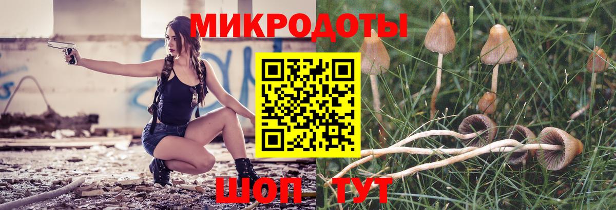 Галлюциногенные грибы GOLDEN TEACHER  Вход с VPN  Коломна 