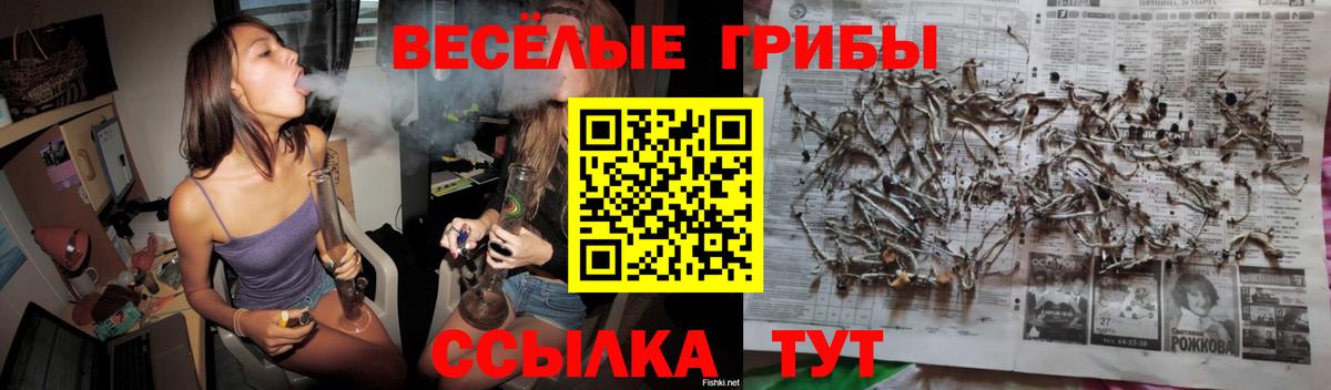 Галлюциногенные грибы GOLDEN TEACHER  Коломна  Галлюциногенные грибы MAGIC MUSHROOMS 